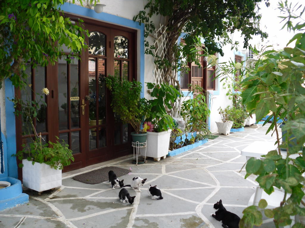 Mertonas Studios Karpathos Buitenkant foto